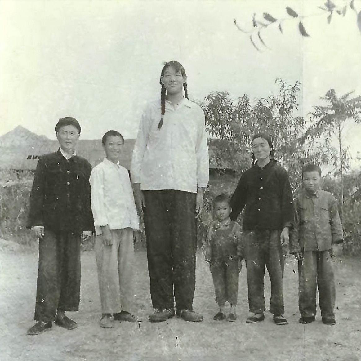 Zeng Jinlian Height